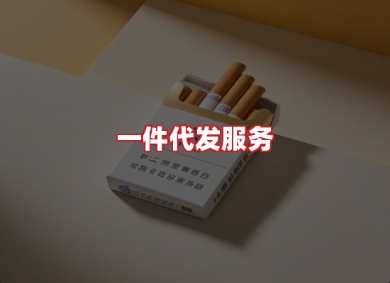 专业团队